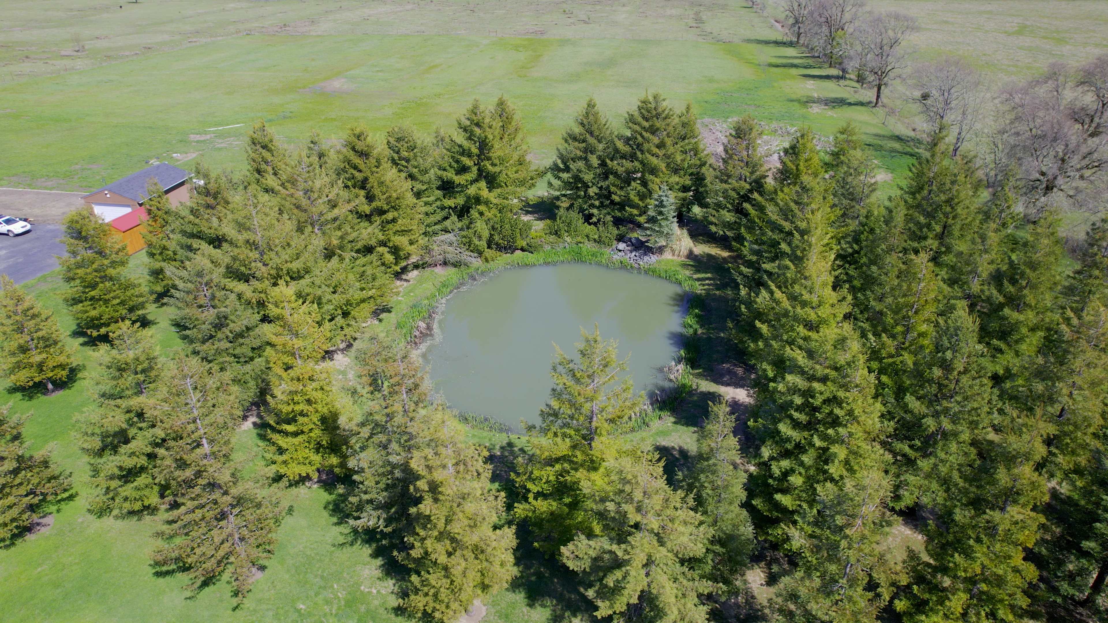 Aerial view of pond
